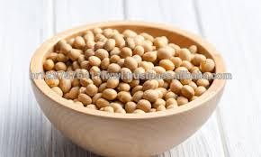 Organic Soybean/soybean/soya bean/yellow soya bean